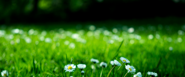 (Foto: Karol D, pexels.com) (Foto: Karol D, pexels.com)