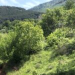 Landschaftsbild aus Albanien