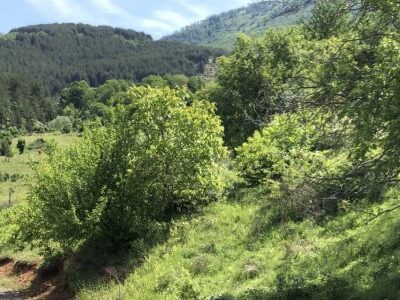 Landschaftsbild aus Albanien