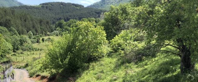 Landschaftsbild aus Albanien