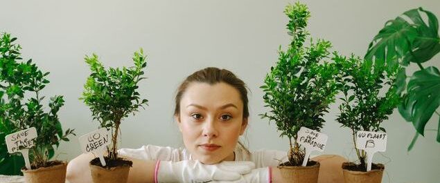 Eine Frau zwischen frisch eingesetzten Zimmerpflanzen